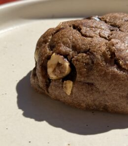 Double chocolate cookies